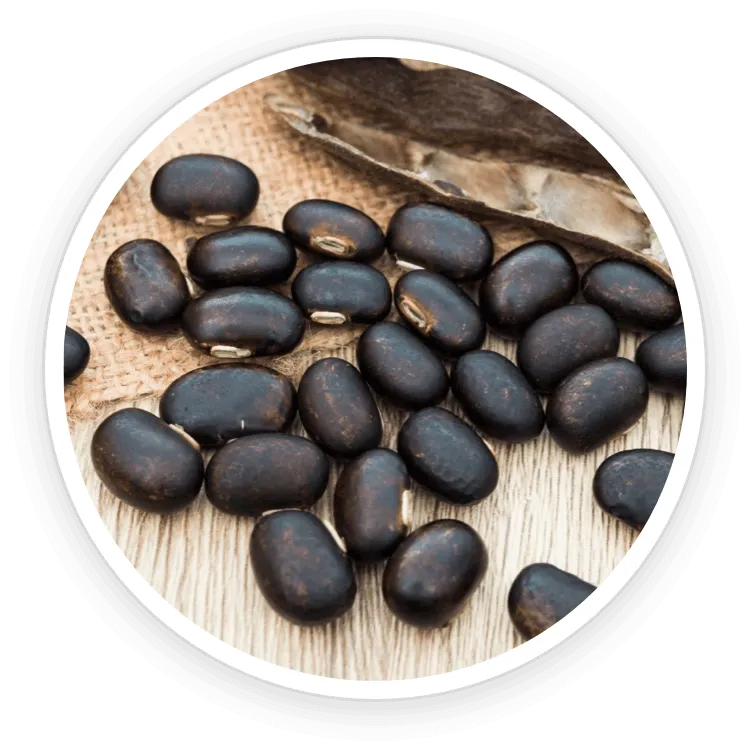 Quietum Plus ingredient Mucuna Pruriens and Maca Root