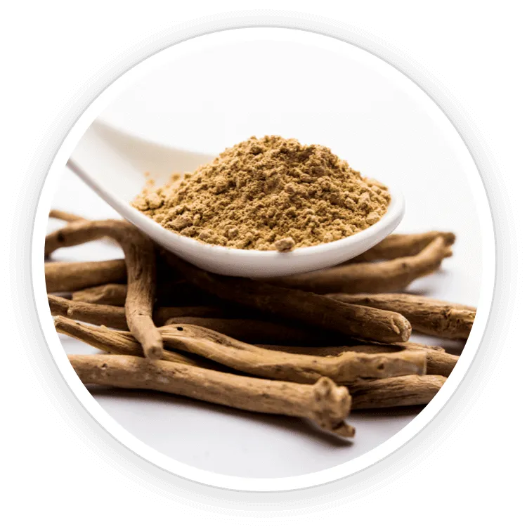 Quietum Plus ingredient Ashwagandha and Piperine