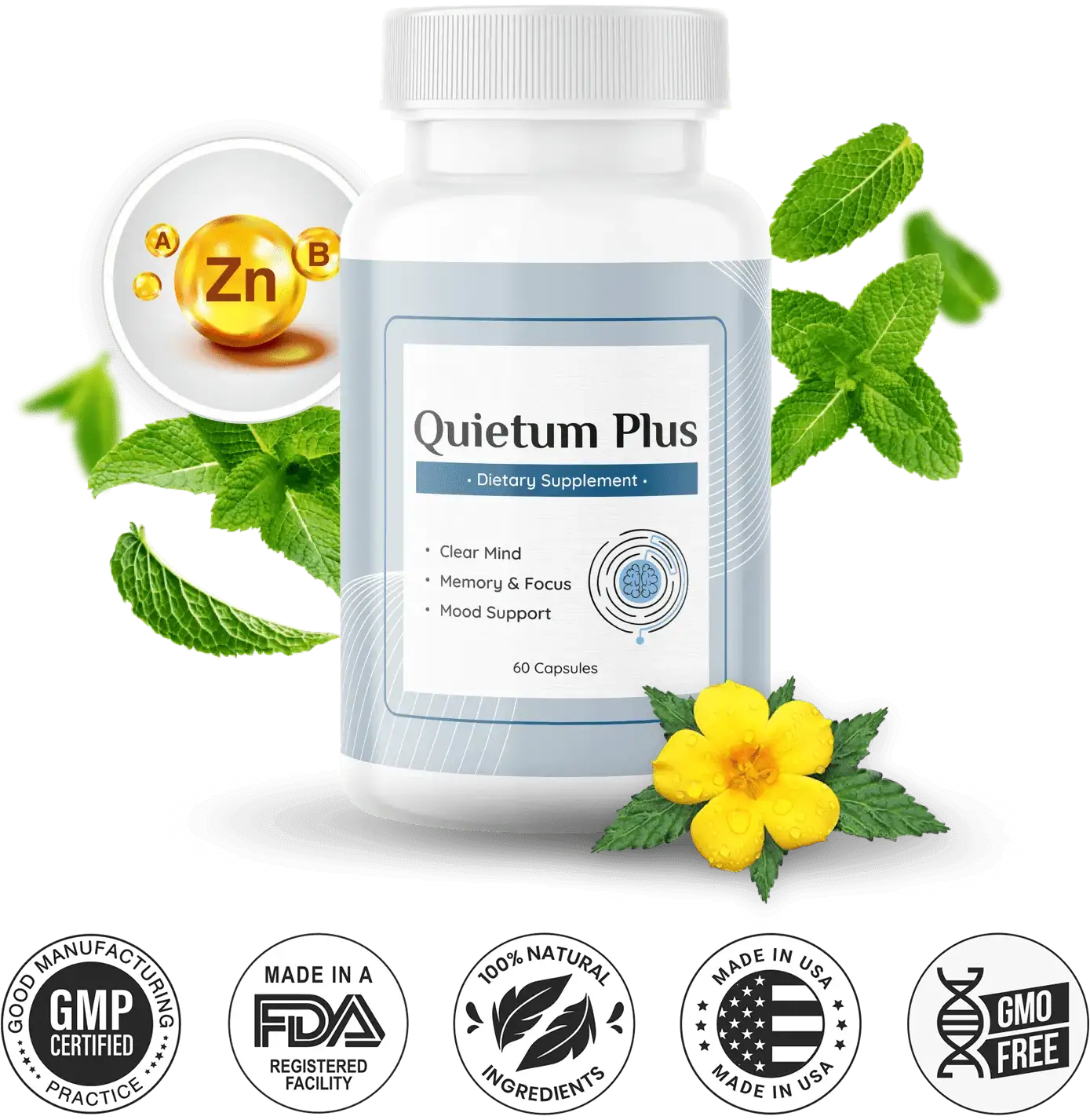 Quietum Plus dietary supplement bottle with natural ingredients, supporting brain, memory, focus, and hearing wellness