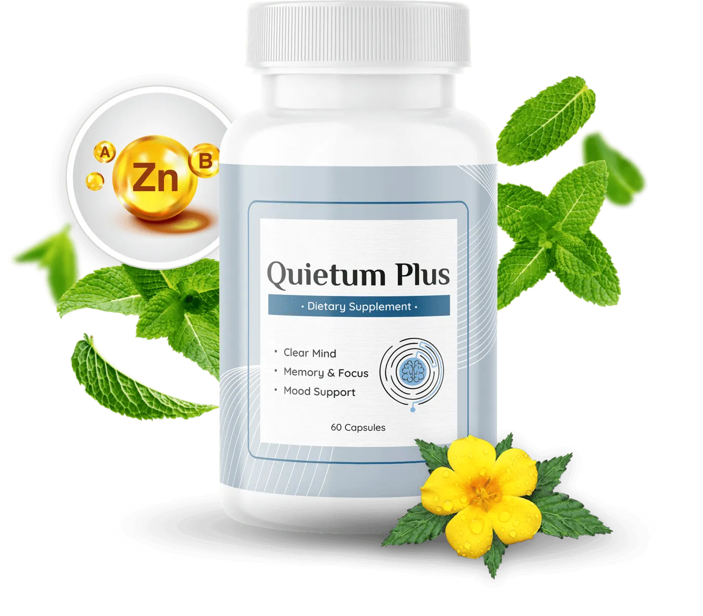 Quietum Plus dietary supplement bottle image provided for the current seller presentation Quietum Plus dietary supplement bottle image provided for the current seller presentation